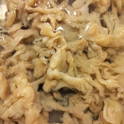 แมงกะพรุนจืด