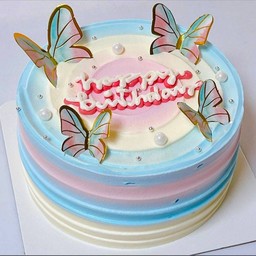 Colorful Butterfly
