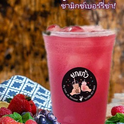 ชามิกซ์เบอร์รีี่ซ่า