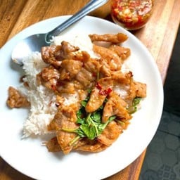 ข้าวกะเพราหมูนุ่มนิ่ม ผัดพริกแห้ง