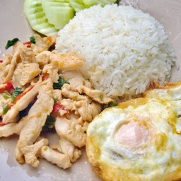 ข้าวกะเพราไก่