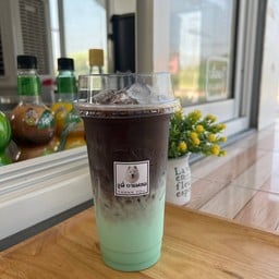 โกโก้มิ้นท์