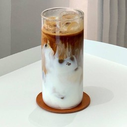 Latte (ICE)