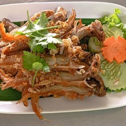 ปลาเนืั้ออ่อนทอดกระเทียม