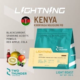 Kenya Kirinyaga Nguguini PB (Washed) 100g