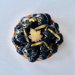 Blueberry Lemon Tart