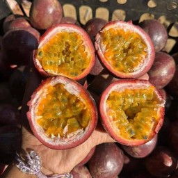 เสาวรสสดครึ่งโล