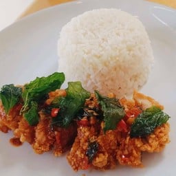 ข้าวไก่กรอบราดซอสกะเพรา