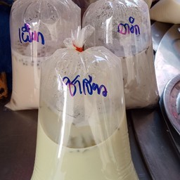 น้ำเต้าหู้ชาเขียวทรงเครื่อง