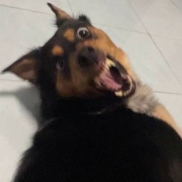 ทิป ต๊กกะใจ!