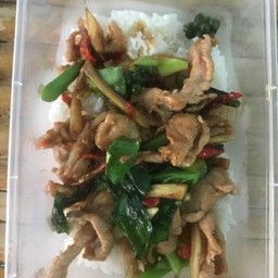 ผัดฉ่าหมูหมักน้ำมันงาราดข้าว  ฟรี ไข่ดาว หรือ กุนเชียงทอด