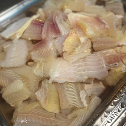 ปลาดอลลี่