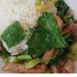 คะน้าหมูเกลือราดข้าว