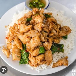 ข้าวกระเพราไก่