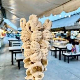 หนวดหมึกสาย 1 ไม้