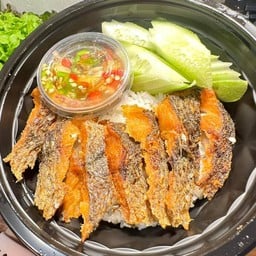 ข้าวปลาแกะ by กุ้งนาง ซอยมาลี ราชมงคลคลองหก