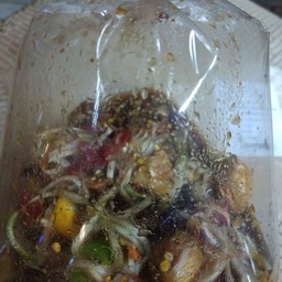 @1 . ส้มตำมะละกอปูนาปลาร้าสดต่อน รศจัดจ้านแซ่บนัว จ้า