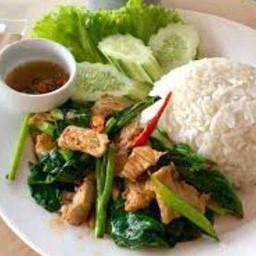 ผัดคะน้าหมูน้ำมันหอยราดข้าว