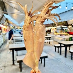 หมึกอาเจนไม่ไข่ 1 ไม้