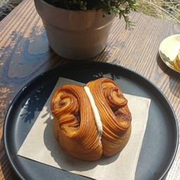 CINNAMON BUTTERFLY