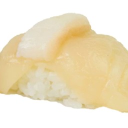 หอยเชลล์ซูชิ