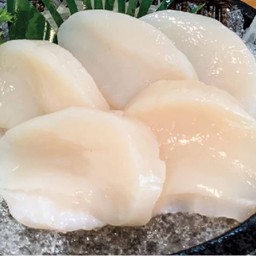 หอยเชลล์ซาชิมิ