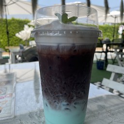 โกโก้มิ้นท์