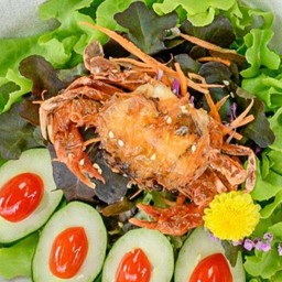 สลัดปูนิ่ม