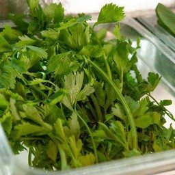 ตั้งโอ๋ (คื่นช่าย) 1 ขีด