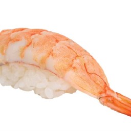 กุ้งซูชิ