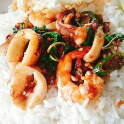 กะเพราทะเล