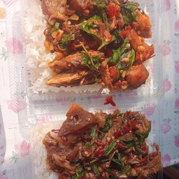 กะเพราขาหมู