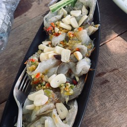 The Kingdom Cuisine
