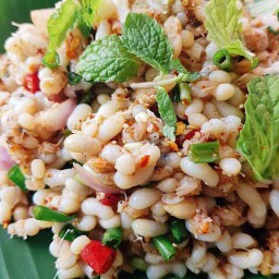 ก้อยไข่มดแดง