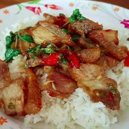 กะเพราคอหมูย่างราดข้าว
