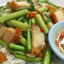 Stir Fried Water Mimosa With Rice