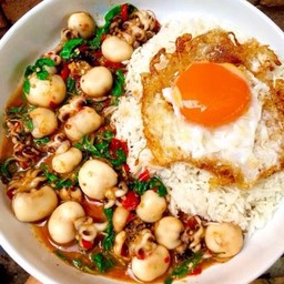ข้าวกะเพราหมึกกระดองจิ๋ว ไข่ดาว
