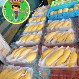 ทุเรียนลุงแดงบางบ่อ/ผลไม้ตามฤดูกาล หมู่บ้านทรัพย์มั่นคง