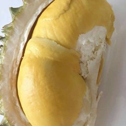 ทุเรียน 1 พลู