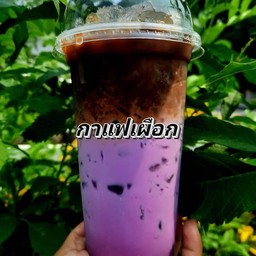กาแฟเผือก