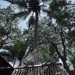 Sabai Sabai Beach Bangalow