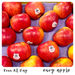 Envy Apple แอปเปิ้ลเอนวี่ (ไซส์กลาง M)