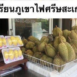 ทุเรียนภูเขาไฟศรีสะเกษ