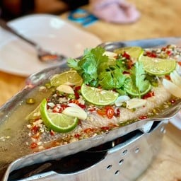 ปลากระพงไซส์ 1 กิโล