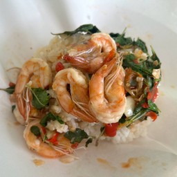 กะเพราราดข้าว