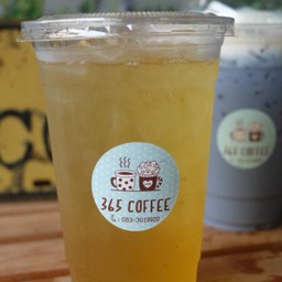 ชาดอกเก๊กฮวยป่าเย็น