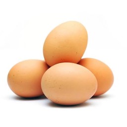ไข่ไก่