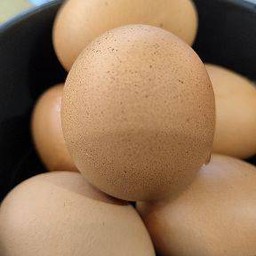 ไข่ไก่ต้ม