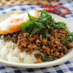 กระเพราเนื้อราดข้าว (ไม่มีไข่ดาว)