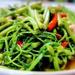 กระเฉดไฟแดง